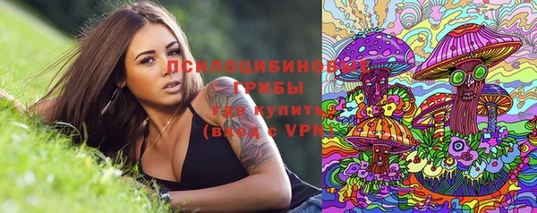 твердый Аркадак