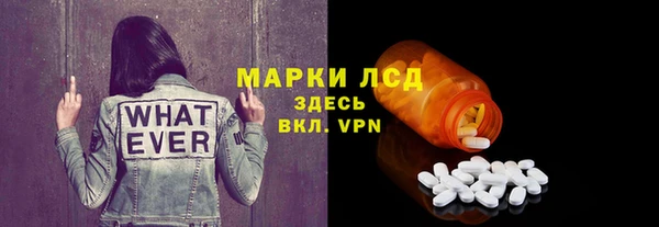 PSILOCYBIN Козловка