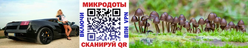 маркетплейс как зайти Сосновый Бор Псилоцибиновые грибы MAGIC MUSHROOMS